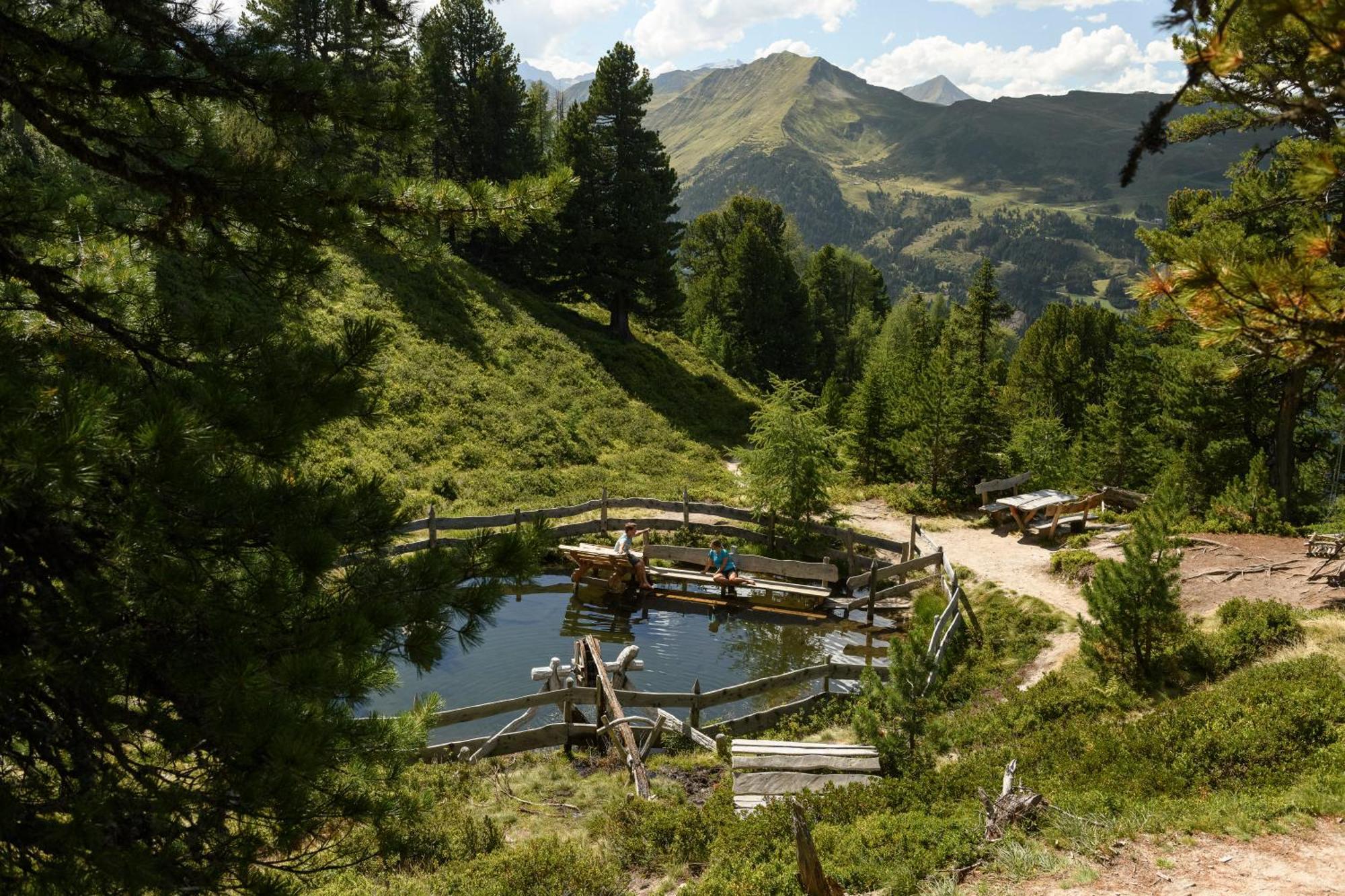 Aktiv- & Gesundheitsresort Das Gxund - Thermeneintritt Inklusive バート・ホーフガシュタイン エクステリア 写真